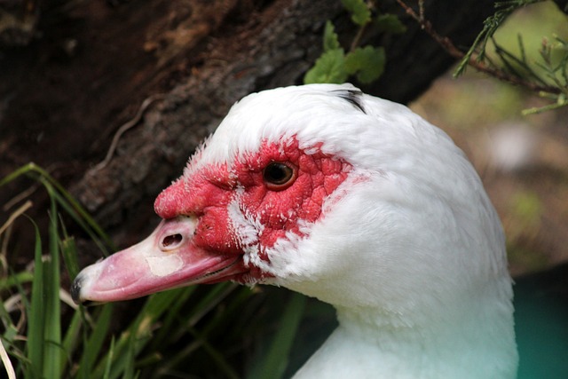 也讓球迷對 也讓球迷對