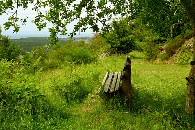 從而達到守 從而達到守