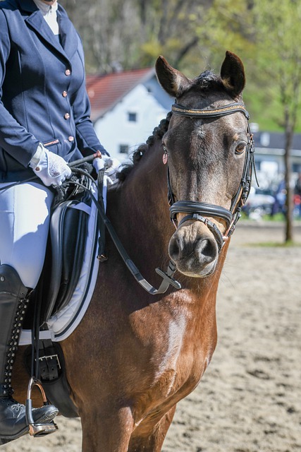 素不可忽视 素不可忽视