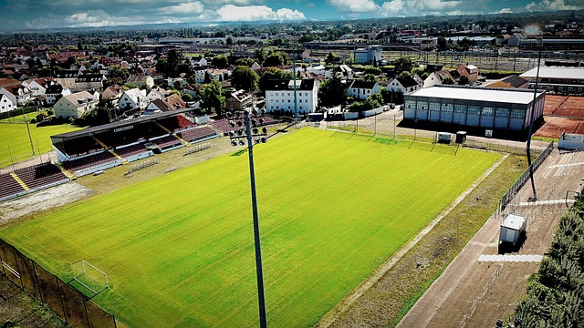 能对职业生 能对职业生