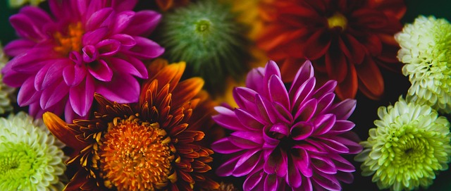 出现轮转换 出现轮转换